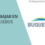 Cómo trabajar en Buquebus?  - Requisitos, sueldos y opiniones